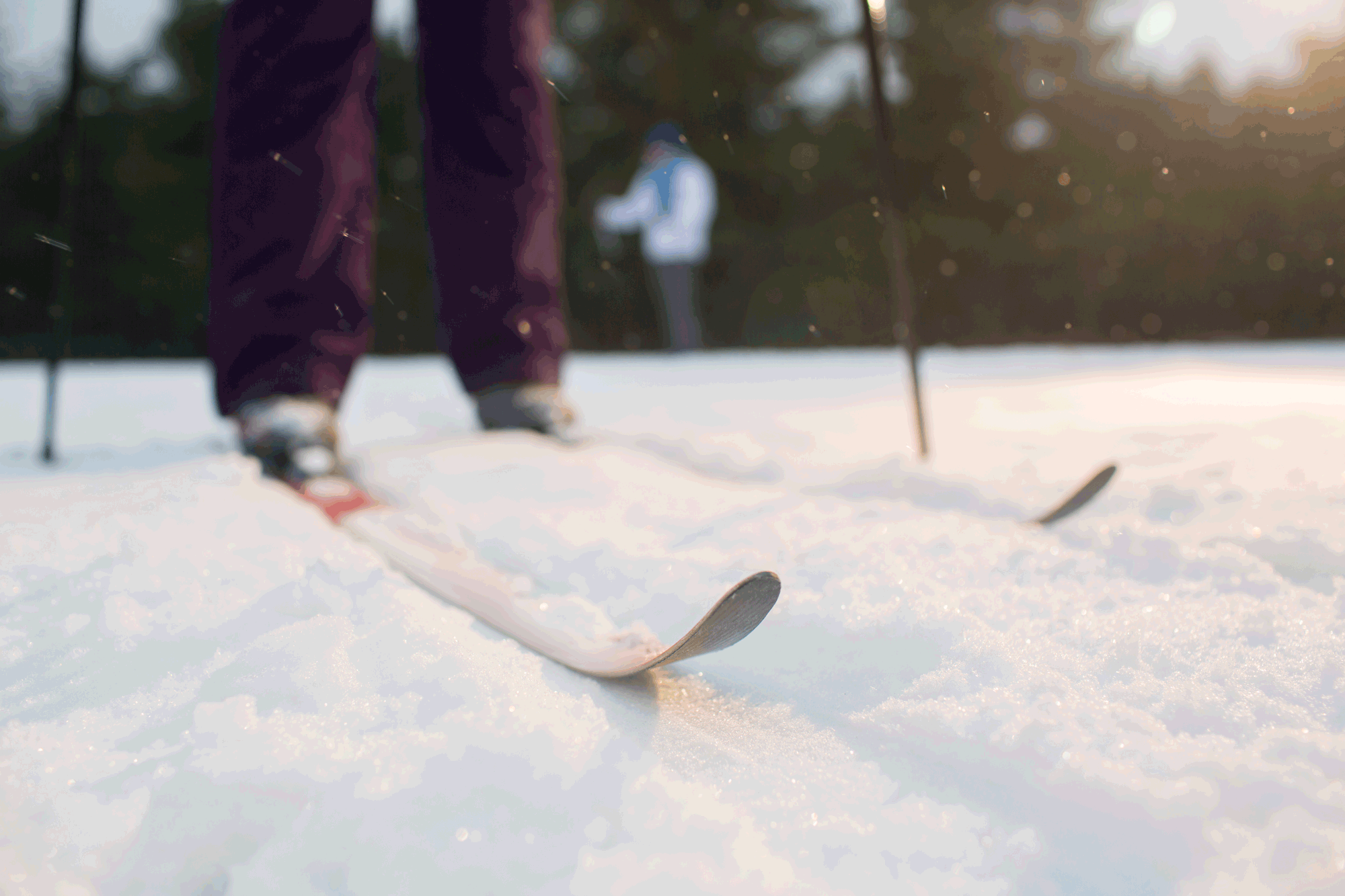 Guardaesquis, ideal para aficionados a los deportes de montaña